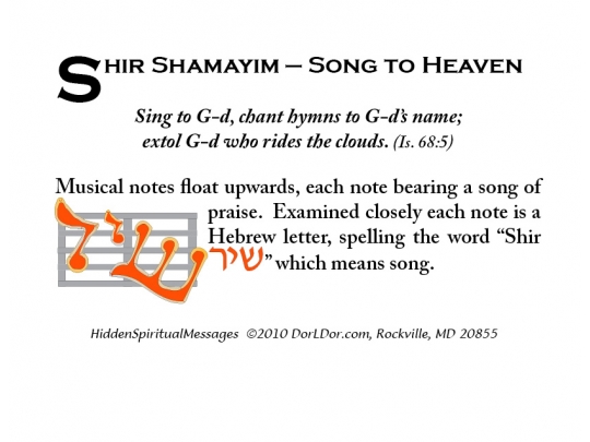 shir-graphic-card.jpg